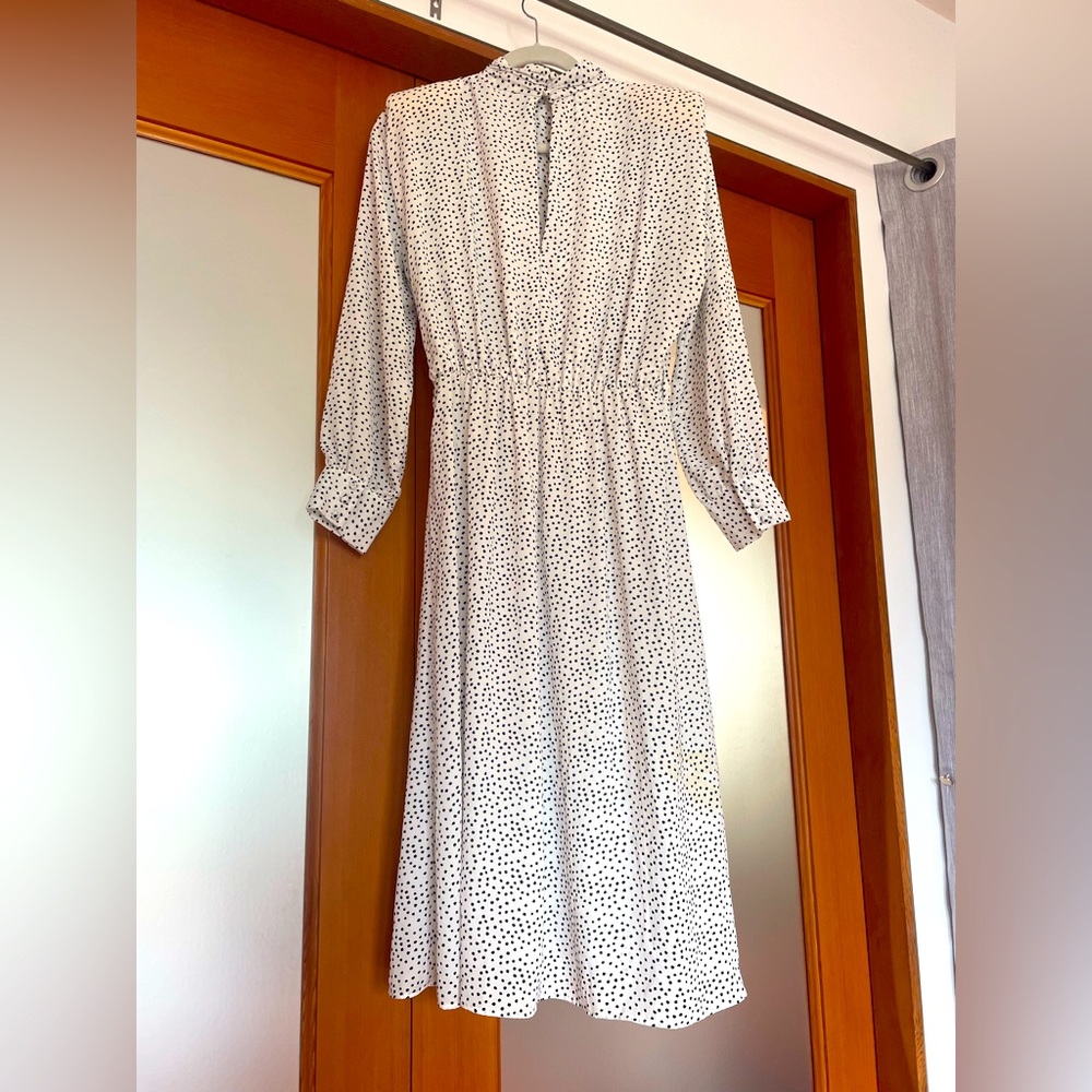 Zara Polka Dot Dress